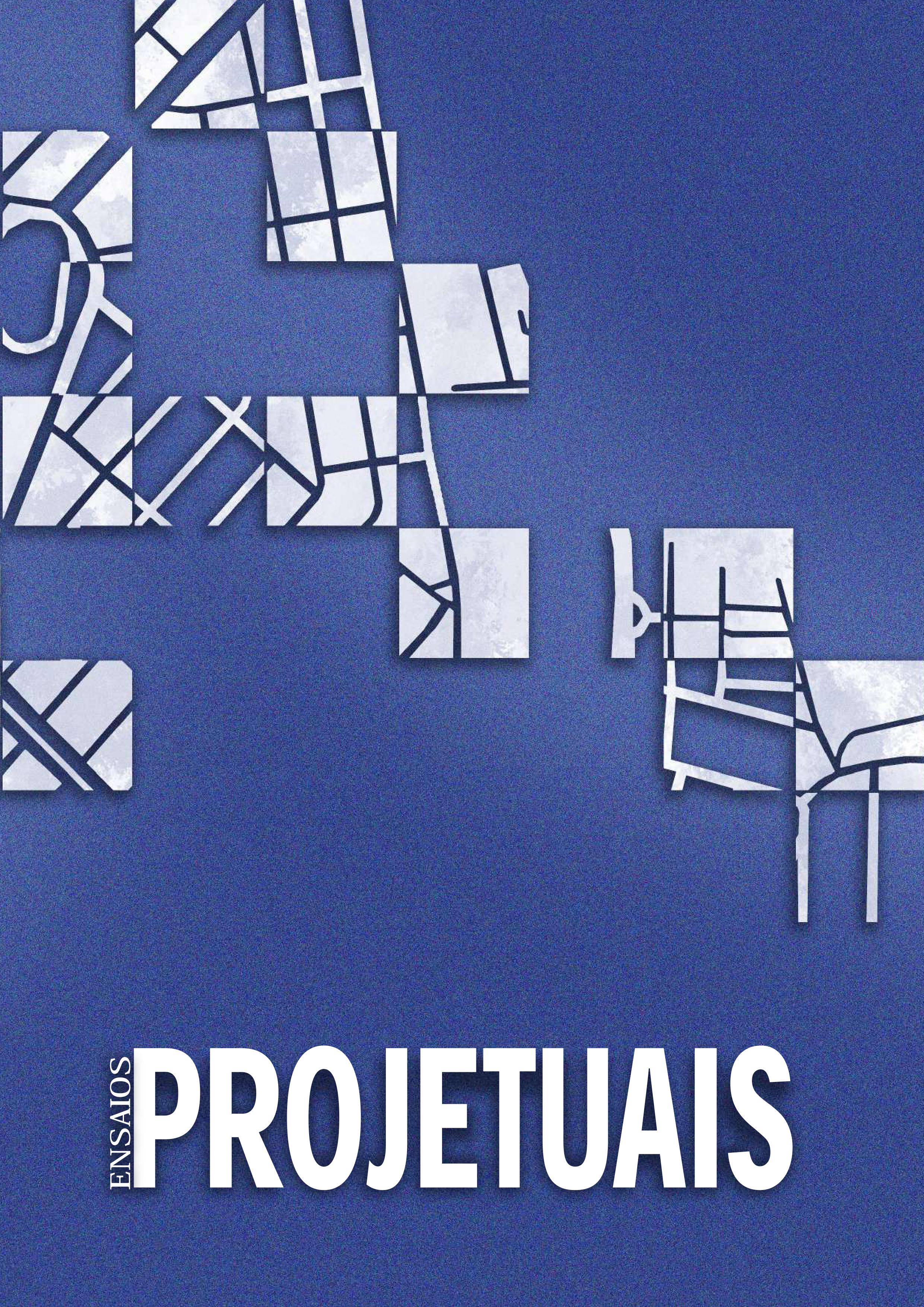 capa dos ensaios projetuais da revista tulha nº 09, fundo laranja e ilustrações em branco produzidas por Ana Cecília Mota, com os dizeres Ensaios Projetuais